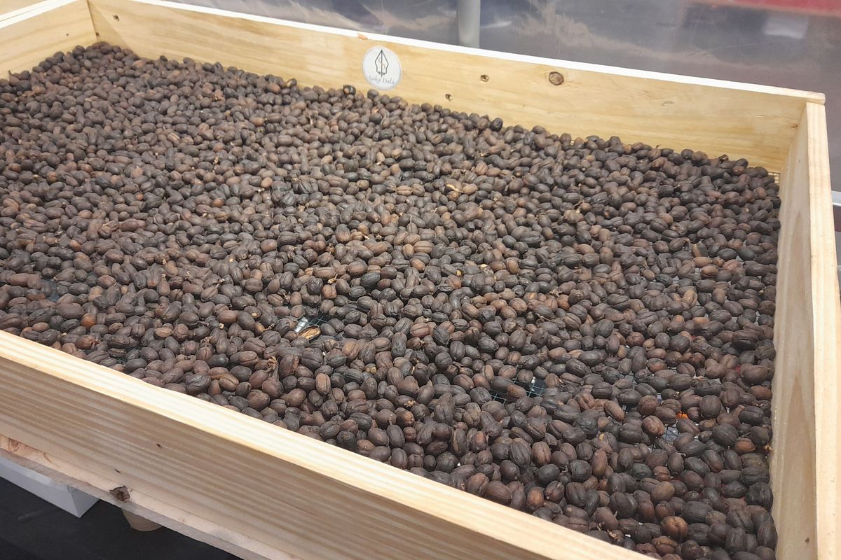 kualitas kopi berdasarkan metode pencucian