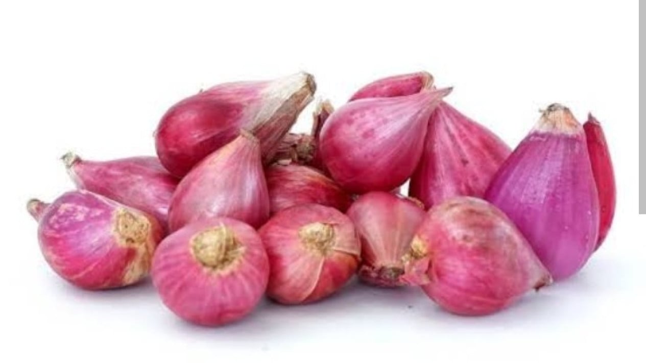 pemotongan bawang rapi seragam