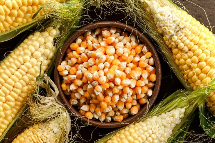 cara memipil jagung dengan mesin