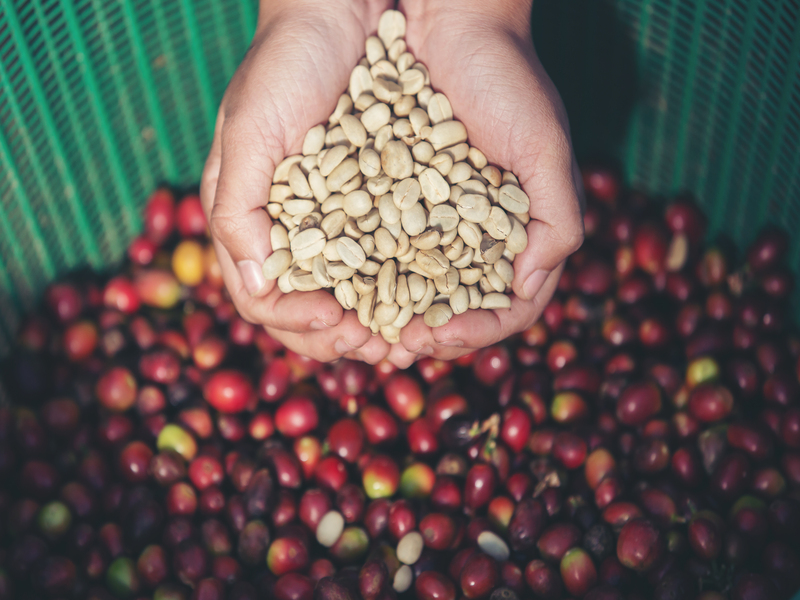 alat sangrai kopi hemat energi