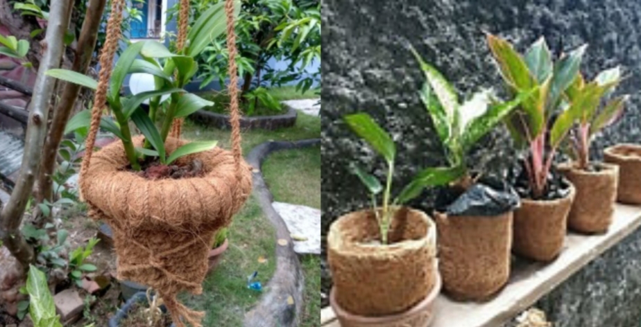 Implementasi Sabut Kelapa dalam Green Tech