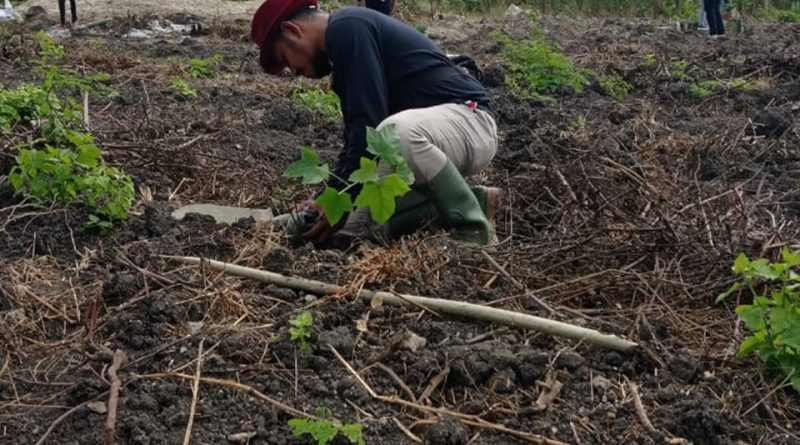 Cocomesh dalam Pengembangan Green Curriculum