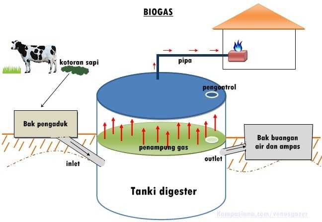 cara membuat bahan bakar biomassa alami
