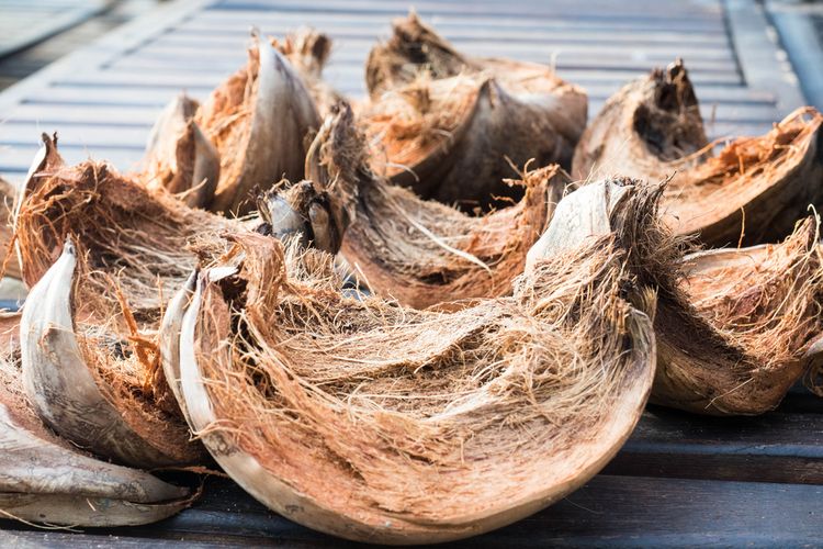 Teknik modern olah sabut kelapa menjadi serat