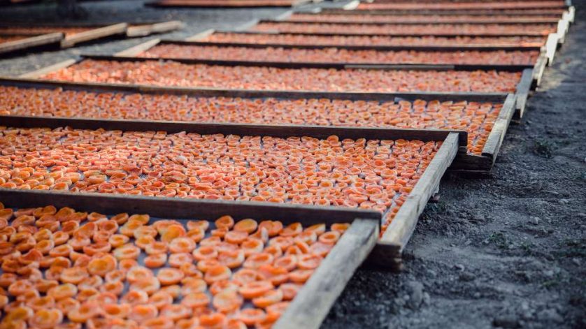 Fungsi Meesin Conveyor Feeder