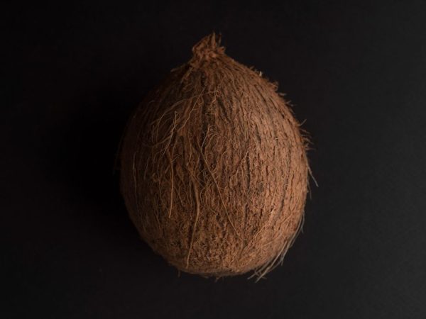 Peran Mesin Pengupas Sabut Kelapa