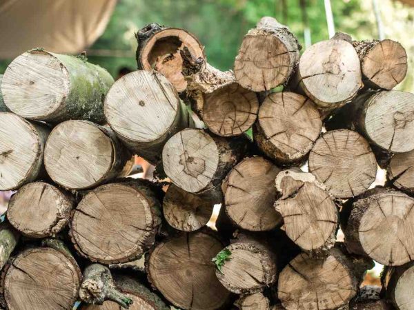 Manfaat dari Mesin Penghancur Kayu