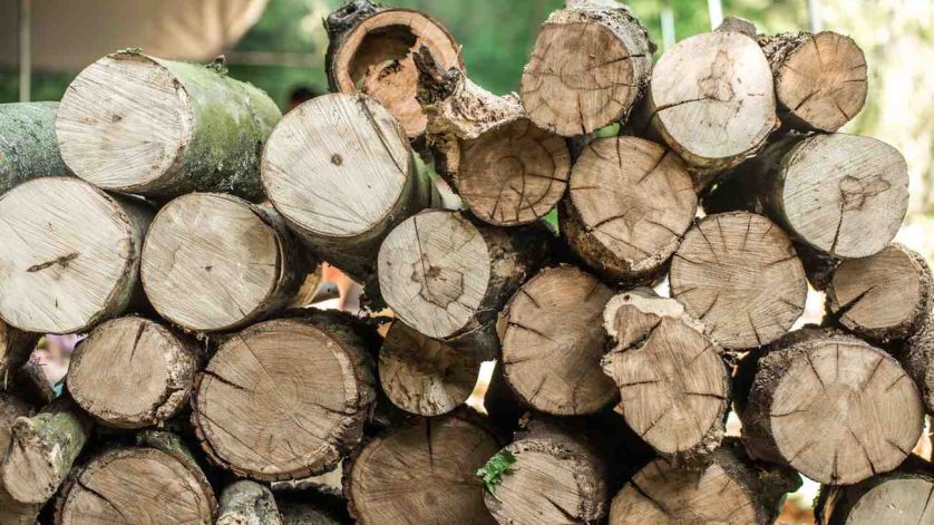 Manfaat dari Mesin Penghancur Kayu