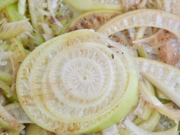 manfaat cacahan batang pisang untuk ternak