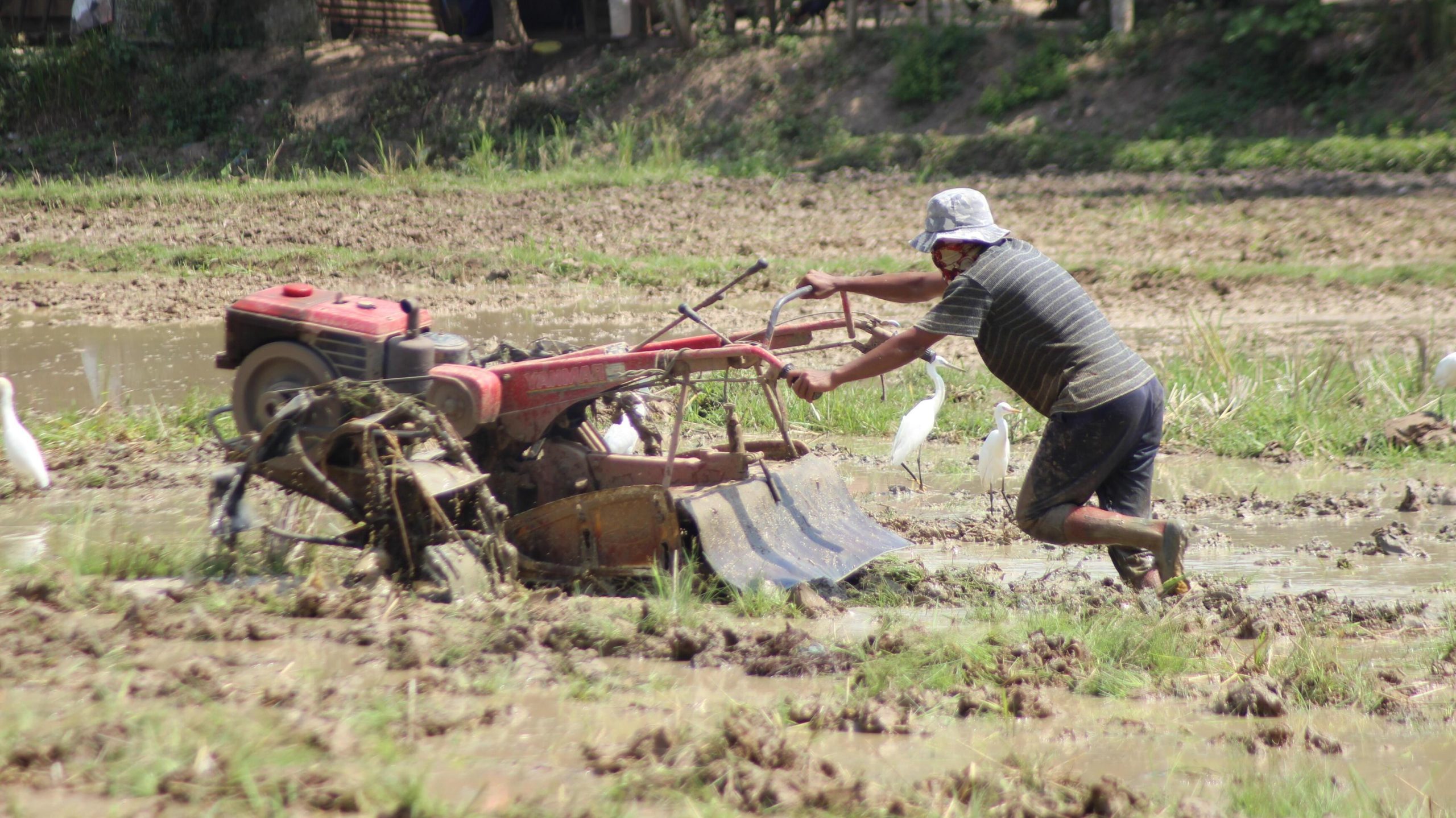 perbedaan hand tractor dan traktor roda empat