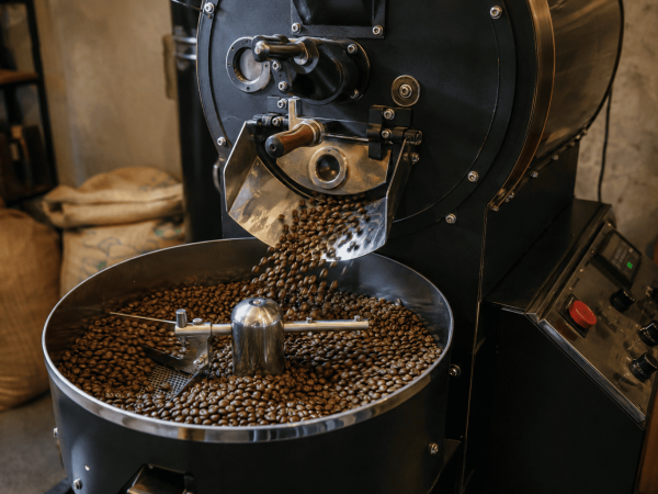 kapan biji kopi siap dikupas