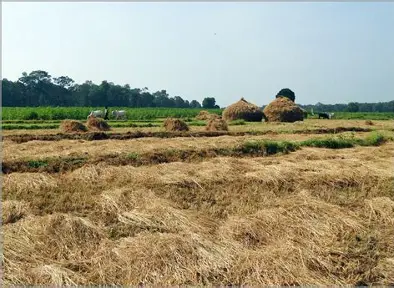 faktor yang menentukan kualitas hasil cacahan