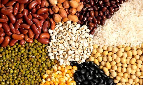 cara mengeringkan biji-bijian